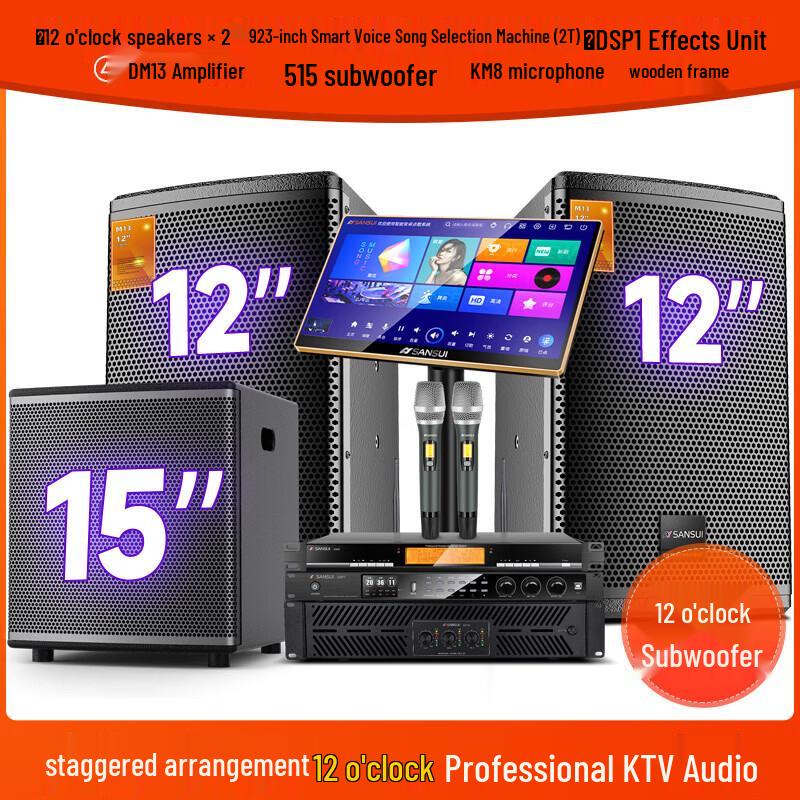 SANSUI M13 Professional Home KTV Audio System CN Plug (adapter Included)