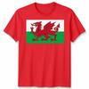 Wales Flag Red Dragon Unisex TShirt World Cup Football 2026 Welsh Supporter Tee