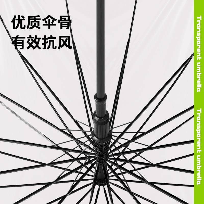16-Bone automatic long-shank EVA transparent umbrella Straight umbrella