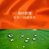 Manufacturer wholesale sanitation split raincoat rain pants set, traffic road administration outdoor greening garden labor protection raincoat