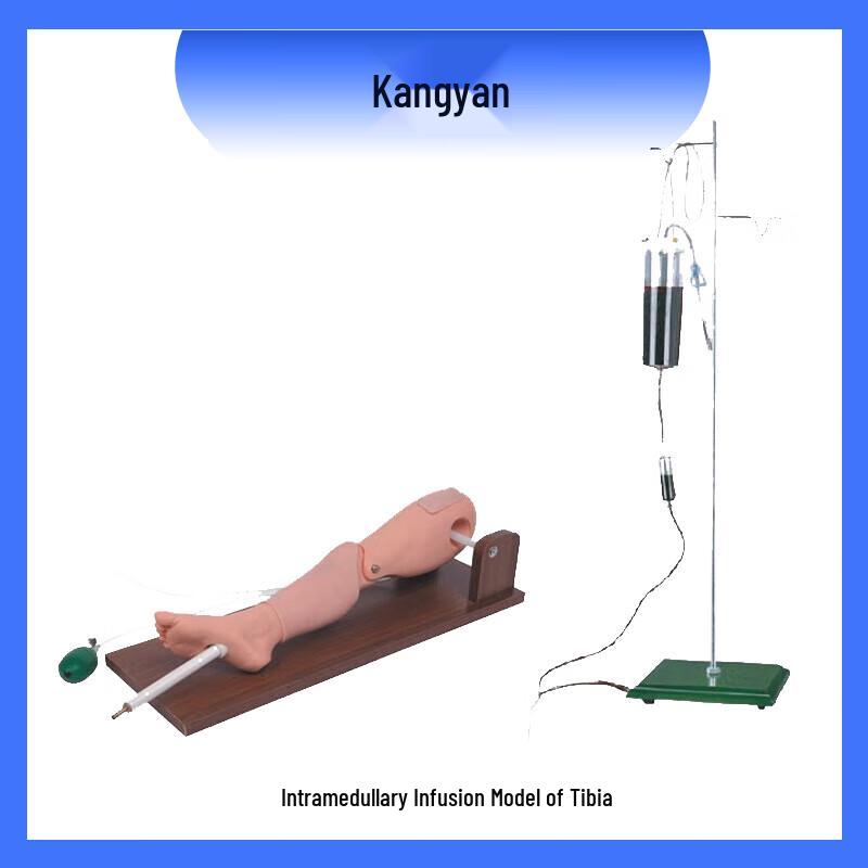 Kangyan SKY-L65A Tibial Puncture Simulation Model