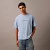 Calvin Klein T-Shirt Herren Dunkles Taupe 40HM228