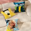 TV Series Breaking Bbad Self Adhesive Pillow Case Suitable For Bedrooms Living Rooms Cars Home Decoration
