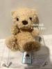 [USED] Jellycat Plush Toy Yummy Bear Teddy Bear
