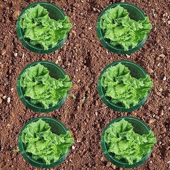 Slug Collars for Plants Vegetable Protector Plants Collar To Protect Vegetables from Slugs Garden Slug Snail Barrier Collar