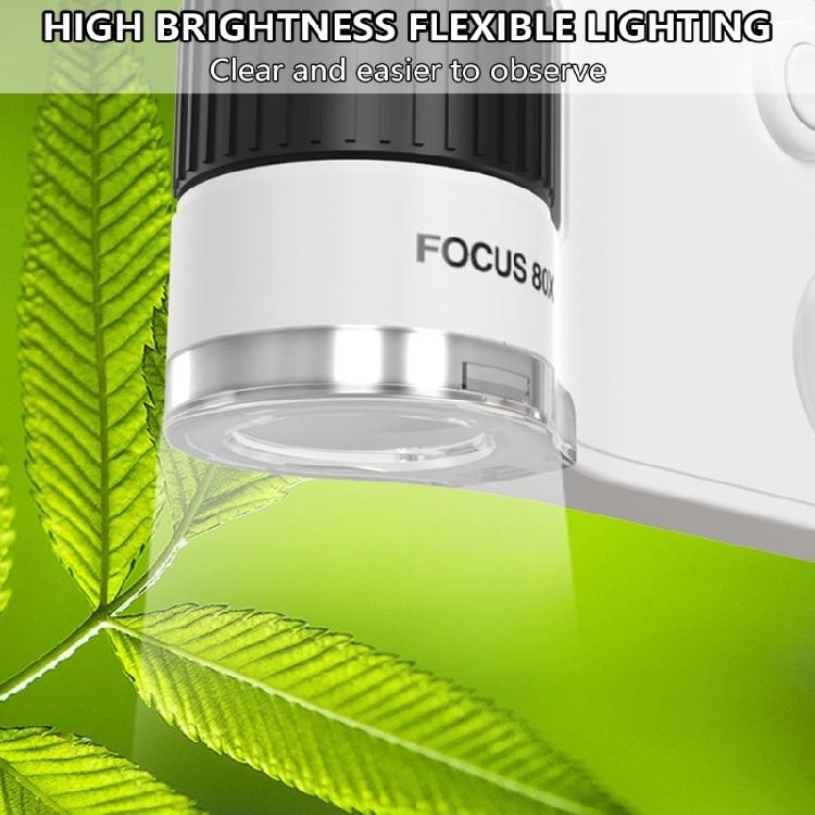 Magnifying Tool with LED Light for Office Readers Hobbies, Crafts, and Reading Detailed Viewing Work Jewelry Inspection