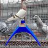 5PCS Pigeon Perch Bird Stand with Wood Bird Rest Roost for Outside Plastic Heat Resistance Dove Rest Stand Holder Supplies