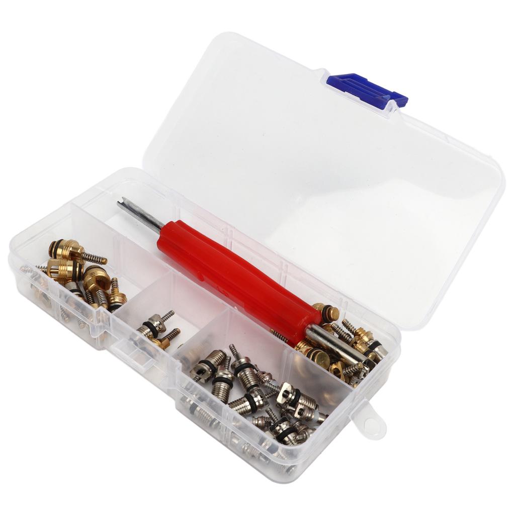 41 Stück AC Hauptventilkern-Set mit Ausbauwerkzeug R12 R134a Kfz-Kälteanlagen-Ventilkerne für