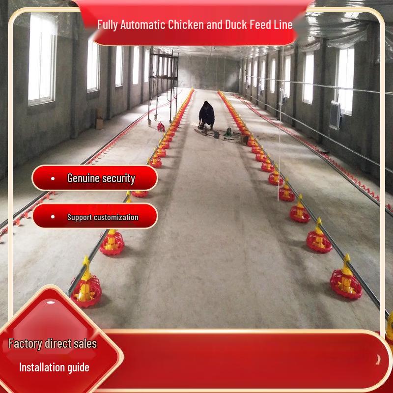 

Poultry Farm Automatic Feeding & Watering System