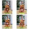 Cute Bear Bag Pendant With Polyester Plush Material For Kids And Teens