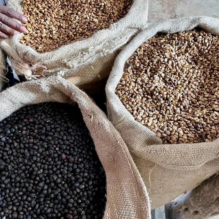 Ethiopian Single Origin Coffee Beans 200g