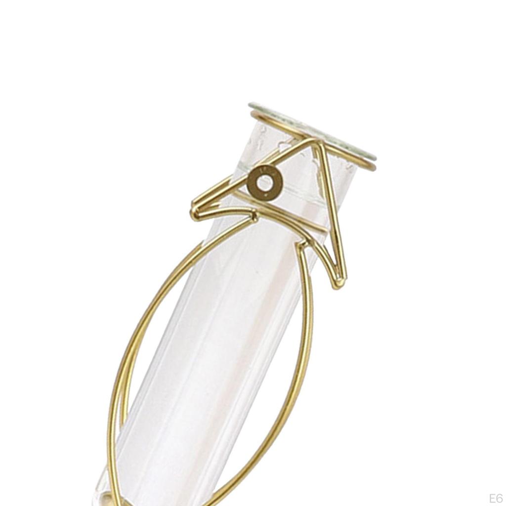 Plants Vase, Iron Dried Flower Vases Holder, Glass Plant Rack Stand for Home Desktop Decoration