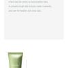 Pretty Skin - The Pure Jeju Cica Cleansing Foam