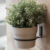 Flowerpot Holder Ring Wall Mounted Metal Planter Holder Ring Planter Hanger Hook Flowerpot Bracket Planter Bracket
