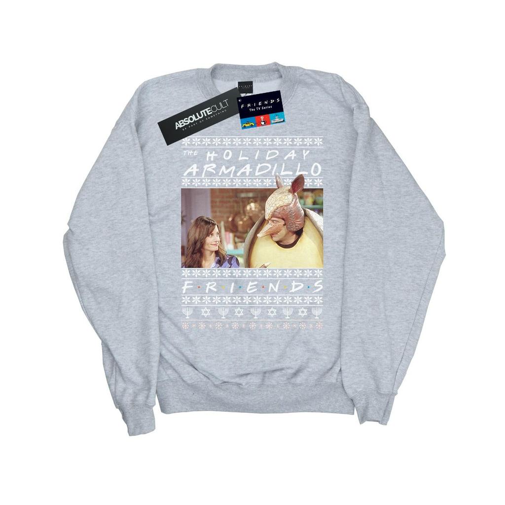 Friends Boys Fair Isle Holiday Armadillo Sweatshirt