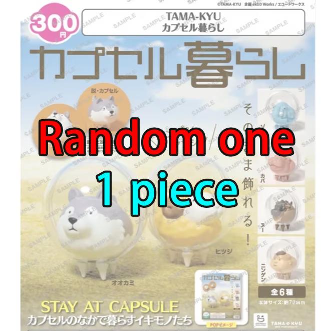 

Гашапон Капсульная игрушка Милый Волк Овца Слон Бегемот Животные в пузырях Креативные фигурки Настольные украшения Детские подарки