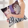 BJ Alex Cushion Cover Decorative Pillow Sofa Home Decor Case Pillow Cases