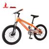 PHOENIX Beta TT 20-inch Student Mountain Bike