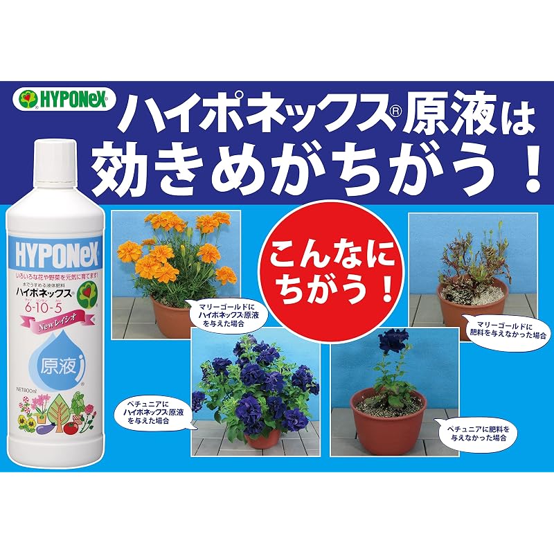 Hyponex Concentrate 160ml