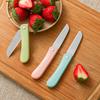 Stainless Steel Folding Fruit Knife Household Portable Portable Small Shaving Knife Kitchen Knife Paring Knife Melon and Fruit Knife