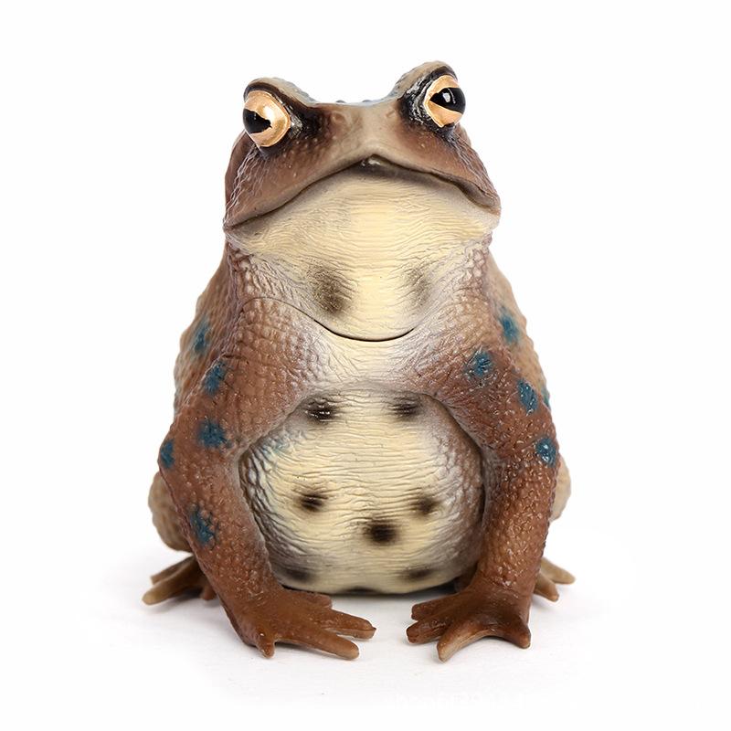 1Pcs Hand Painted Amphibious Animal Figurine Educational Realistic Toad Frog Figure Rubber Animal Model Toy For Kids