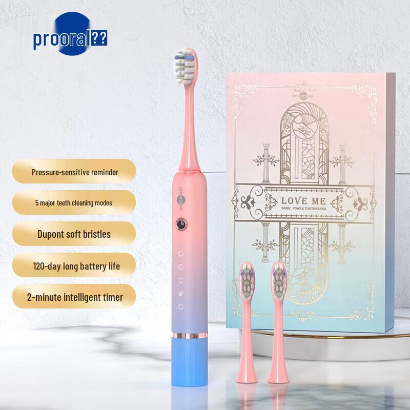 

Bo Hao T33 Sonic Electric Toothbrush for Adults