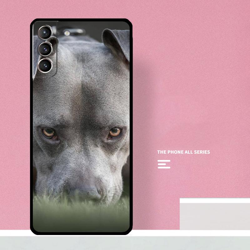 Pit Bull Lovely Dog Pitbull Phone Case For Samsung Galaxy S23 Ultra Plus S21 S22 Ultra S20 FE S9 S10 Note 10 20 Ultra