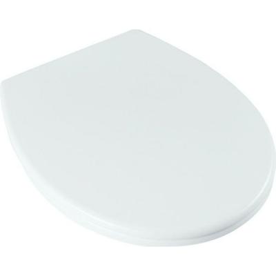 Plastic Soft Close Toilet Seat