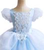 Classic Cendrillon Costume Deluxe Lace Dress Birthday Party Role Play Princess Pretend Fairy Tale Grace Ball Gown for Kids