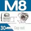 304 Stainless Steel Decorative Cap Nut with Integrated Ball Head DIN1587