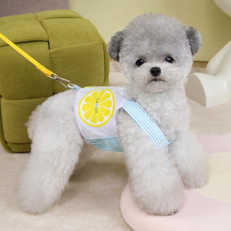 Short Pet Small Dog Mesh Dog Clothes Vest Chest Strap Leash Spring and Summer
