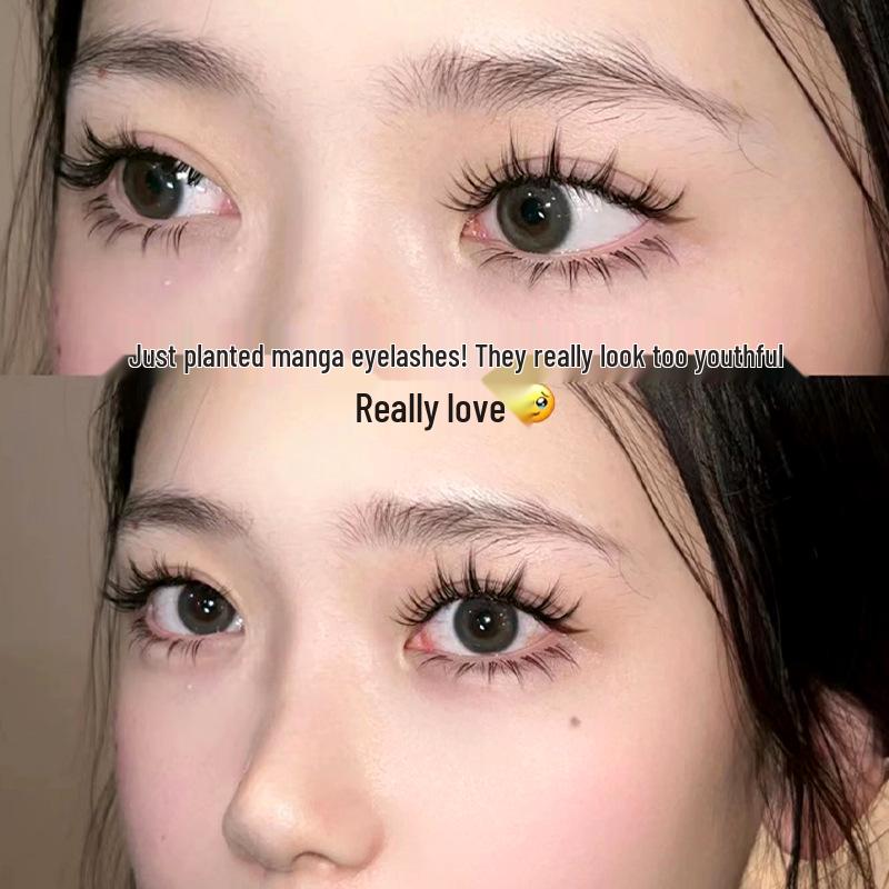 Lightweight Natural Style Dense Manga False Eyelashes - 69 Pairs for Beginners