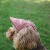 Cat Baseball Canvas Hats Outdoor Cats Travel Hat Dog Outdoor Sport Sun Protection Baseball Hat For Cats Kittens Dogs Puppies