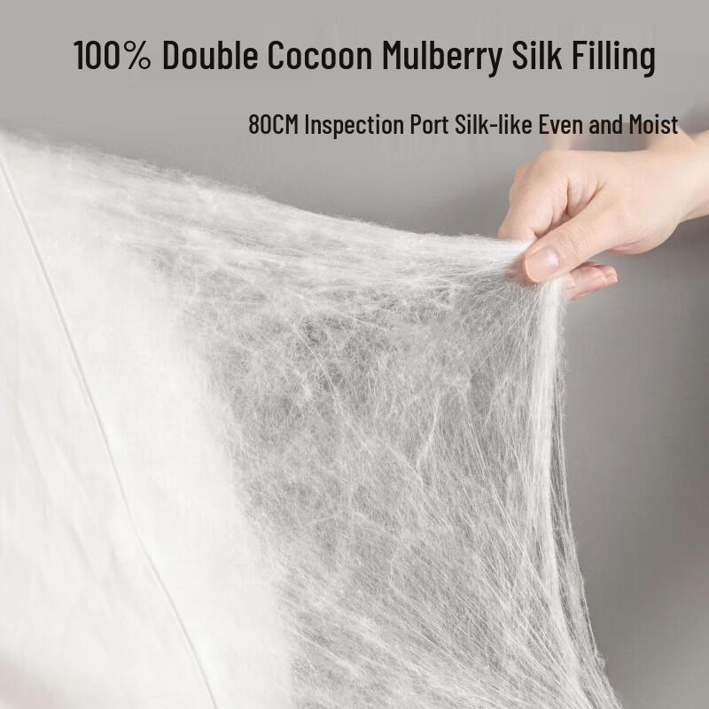 BAQIANHUSI Premium Mulberry Silk Quilt