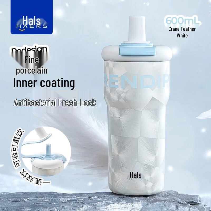 HAERS 600ml Antibacterial Stainless Steel Insulated Mug