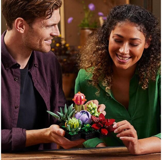 LEGO ICONS 10309 Суккуленты