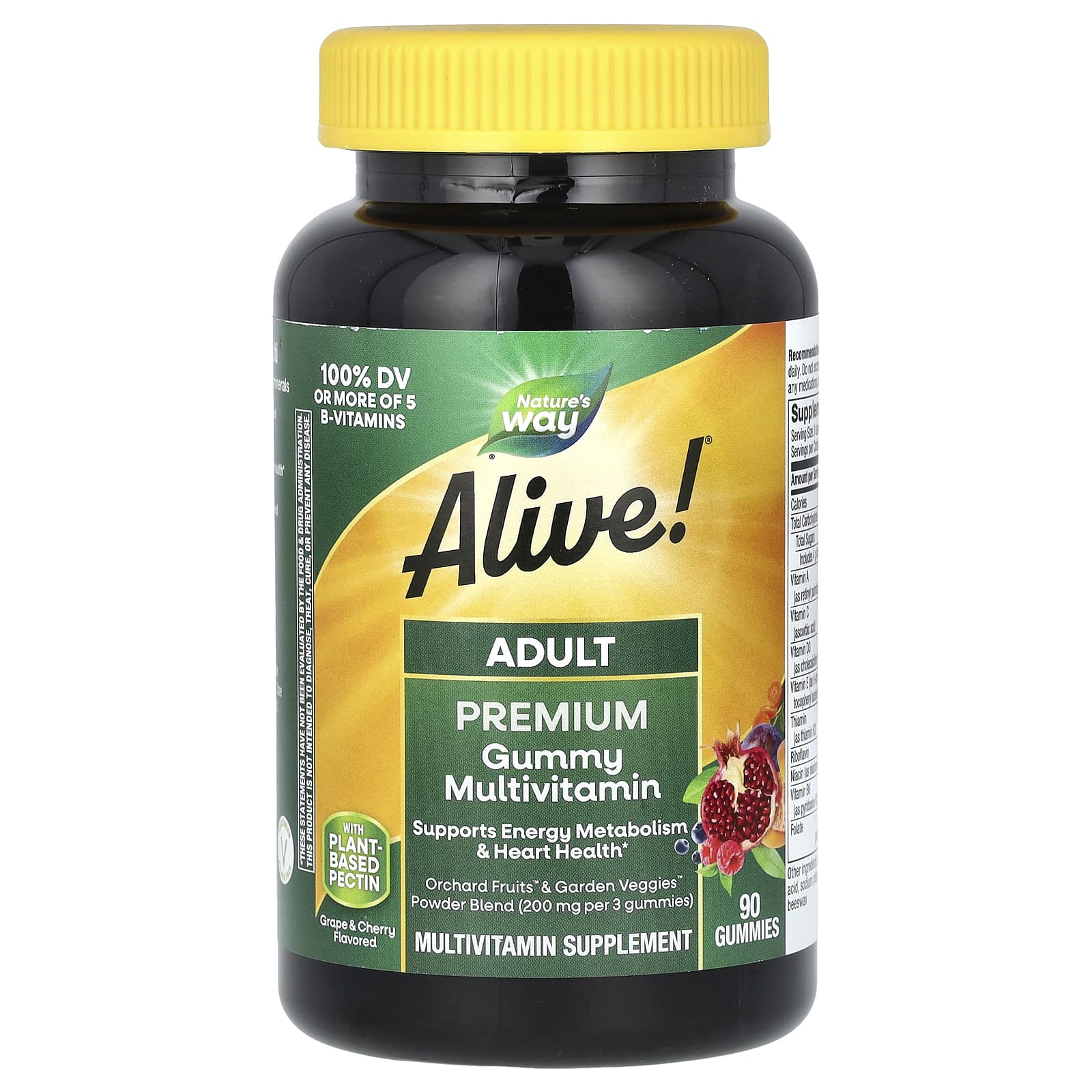 

Nature S Way, Alive! Multivitamin, Adult Gummy, Fruit Flavor, 90 Gummies