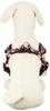 Meister Softy Harness Flower Black Size S