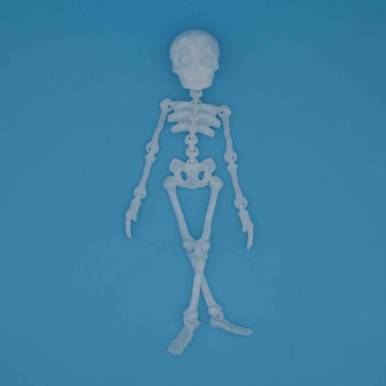 Poseable Skeleton Fridge Magnet 3D Printed Articulated Full Body Skeleton with Movable Joints Halloween Mini Skull Fridge Magnets for Home Decor