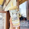 Sanrio Cartoon Tea Infuser: Cute Portable Water Cup with Straw for Girls