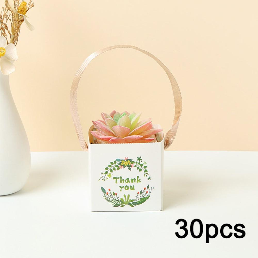 

30 шт. Подарочные пакеты с ленточной ручкой Квадратный пакет для суккулентов Подарочные пакеты для суккулентов Оберточные пакеты Пакеты «Спасибо» для горшков с суккулентами Растения Бумажные корзины Коробка для растений 30pcs