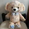 [USED] Afternoon Tea Teddy Bear