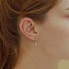Teardrop Crystal Earrings (Silver 925) SHER0014