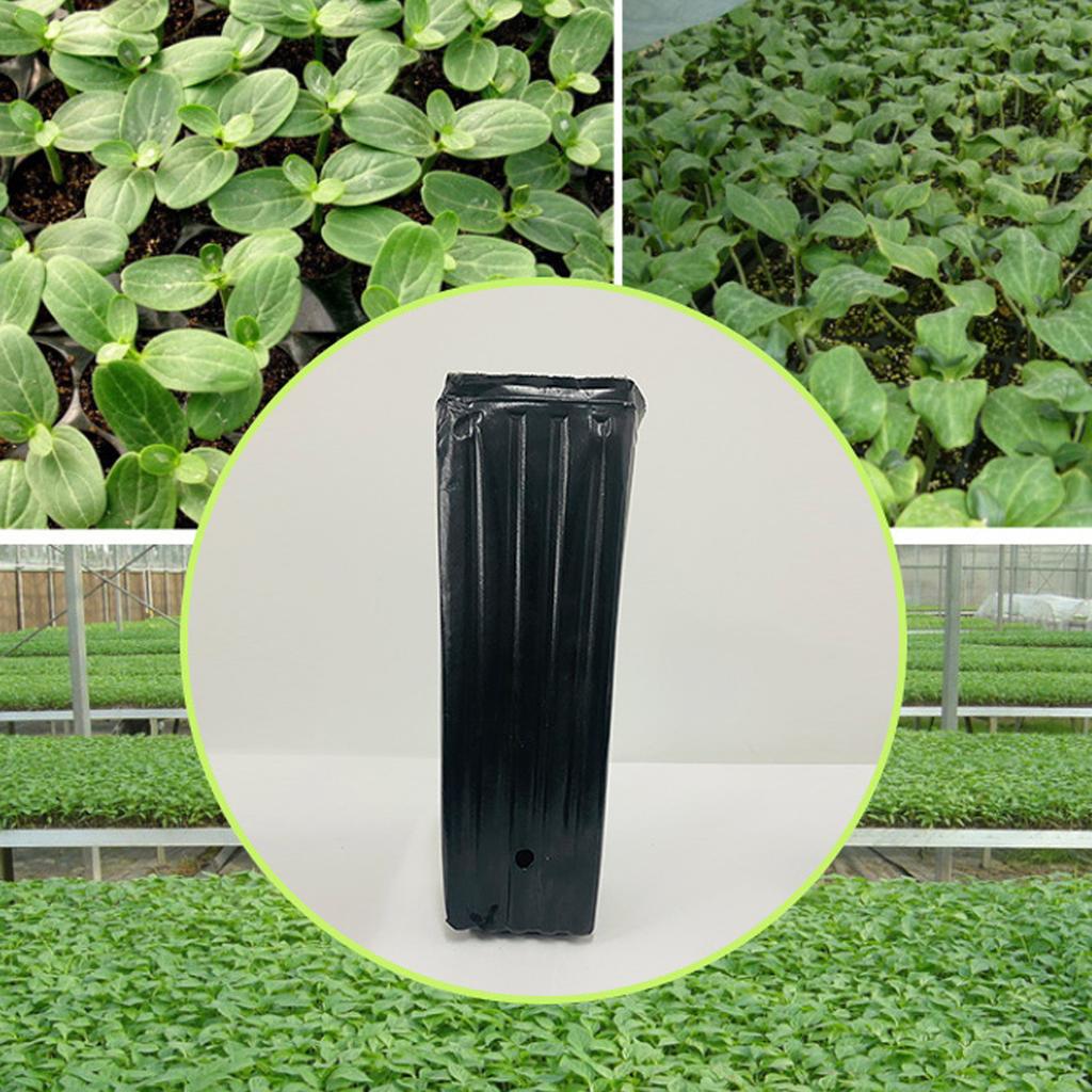 20 Stück Hohe Tiefe Baumtöpfe, Pflanzenanzucht Hohe Blumenpflanzenbehälter Anzuchttöpfe Pflanzen Sämlingsanzuchttöpfe für den Außenbereich