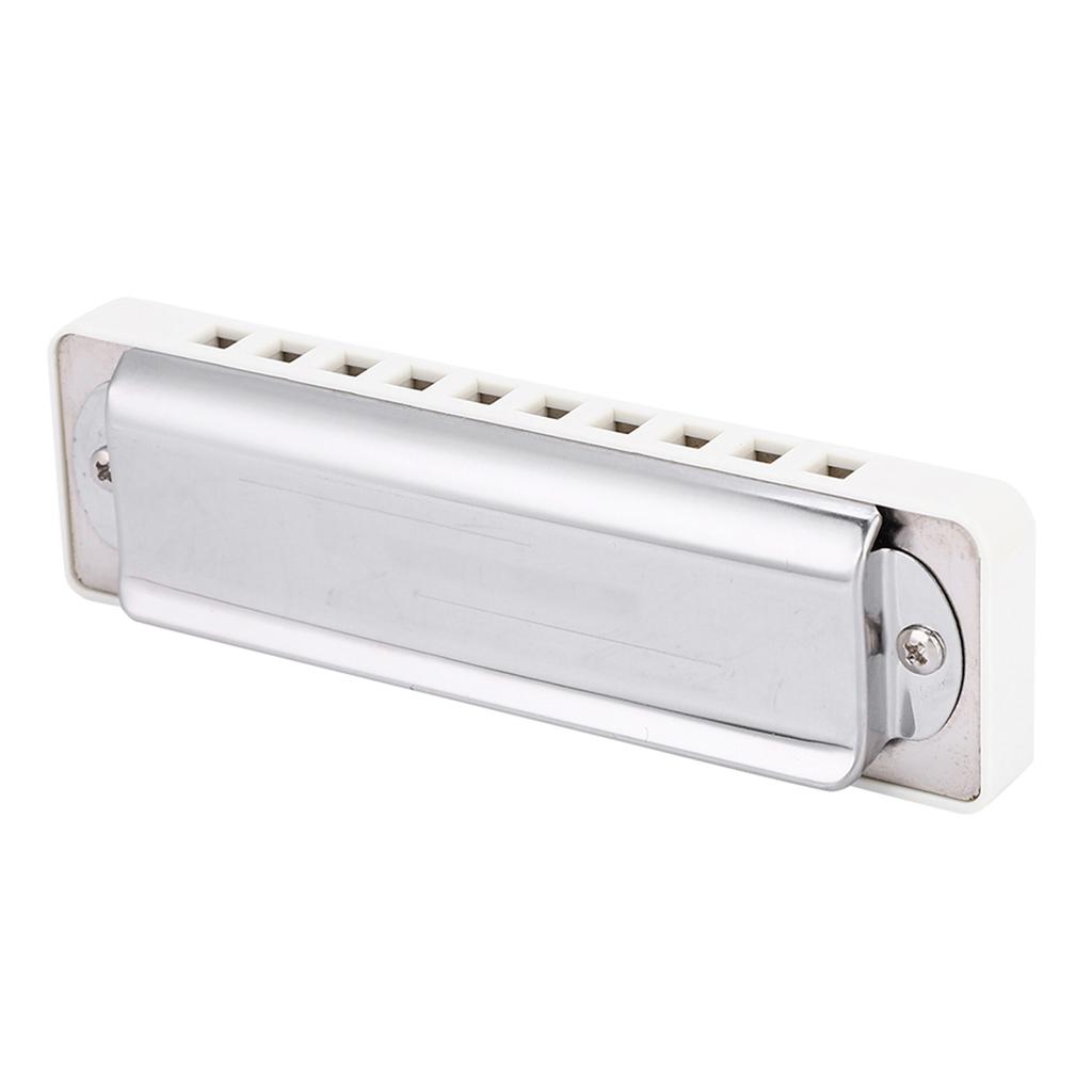 KONGSHENG AM 20D Phosphor Bronze Reed 10 Hole 20 Tone Blues Harmonica In the Key of Bb White