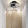2 In 1 Ceiling Lamp Remote Control Electric Cordless Fan Creative Ceiling Fan  Bathroom