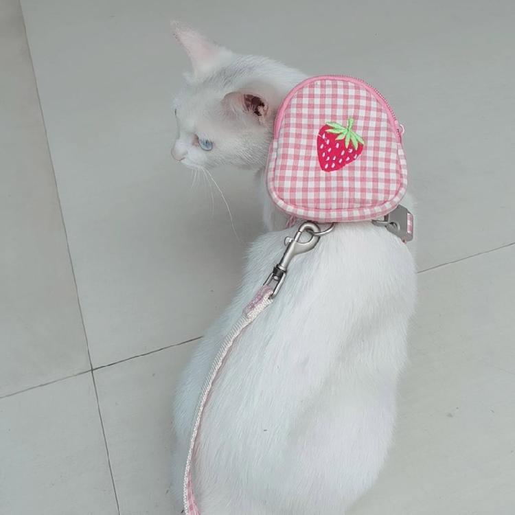 Großer Hunde-Rucksackgeschirr-Rucksack mit D-Ring Mini für Träger-Rucksack-Satteltasche