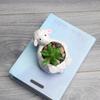 Artistic Animal Molded Earthenware Flower Container Exemplary For Succulents Small Bushes Desktop Decoration And Storage Planner
