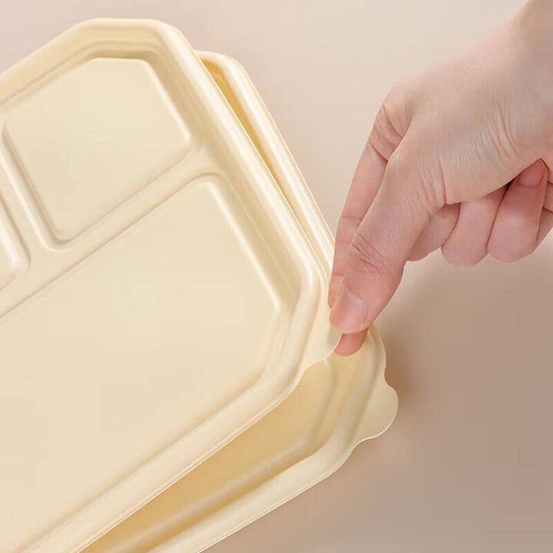 ZLIII Disposable Corn Starch Lunch Box