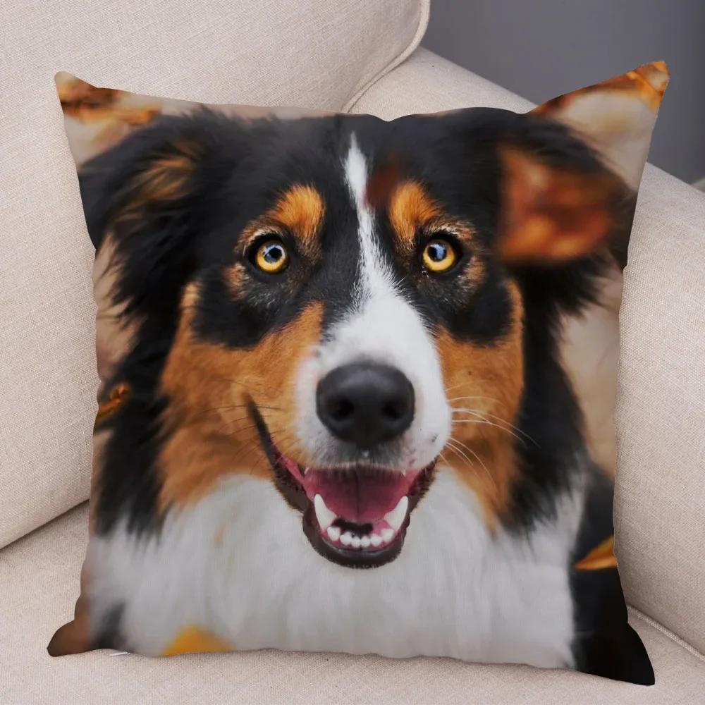 Cute Pet Animal  Cushion Cover Scotland Border Collie Pillowcase for Sofa Car Decor Dog Printed Soft Plush Pillow Case